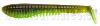 PONTOON 21 AWARUNA EVO 5.0 inch (Coloris 4217 - Green Pumpkin Chartreuse)