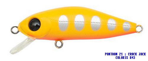 CRACK JACK 38SP-MR R43 MUSTARD YAMAME